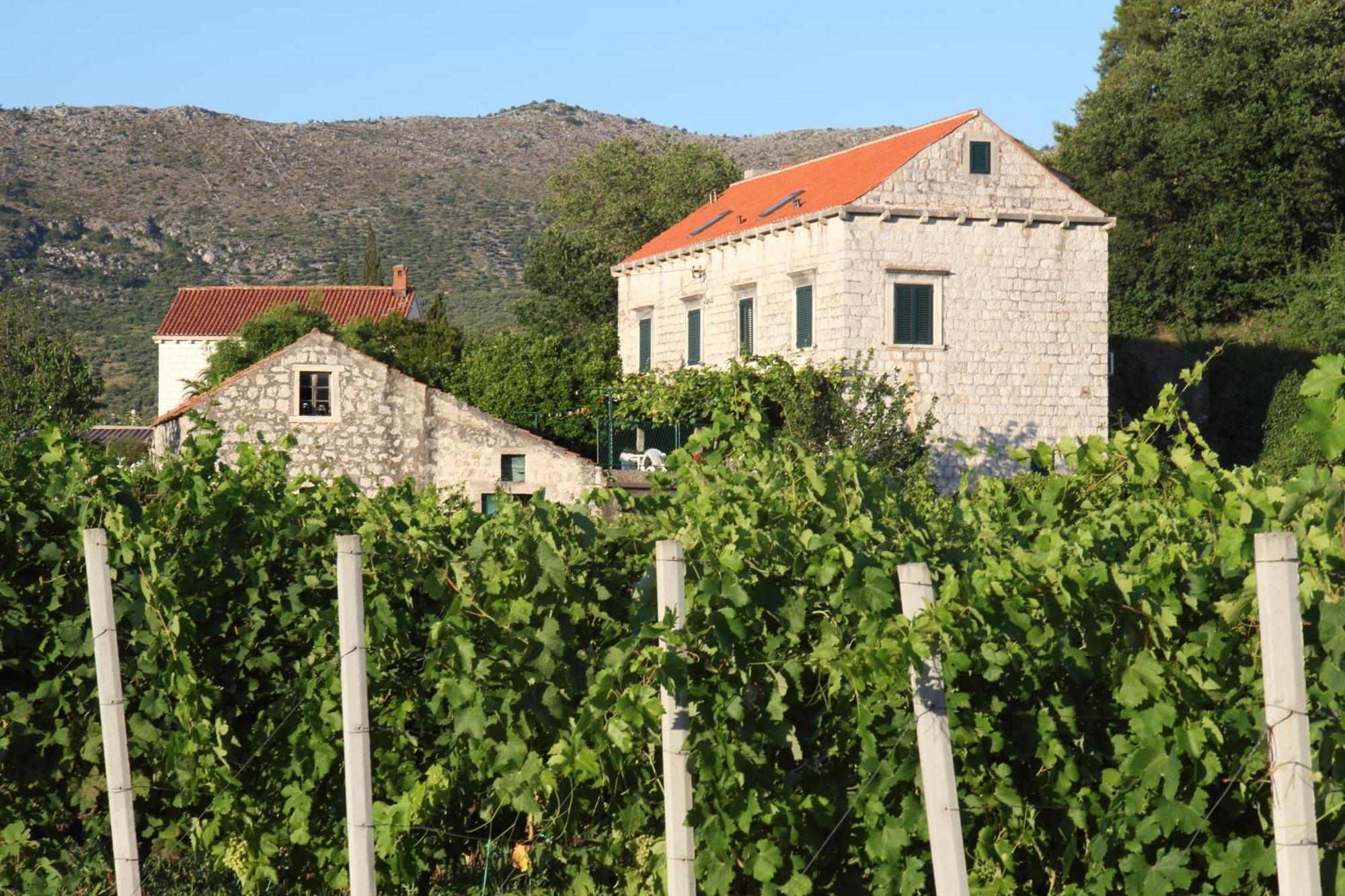 Villa Violic Zaton  Εξωτερικό φωτογραφία