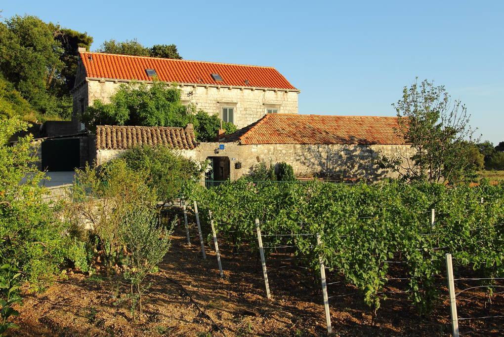 Villa Violic Zaton  Εξωτερικό φωτογραφία