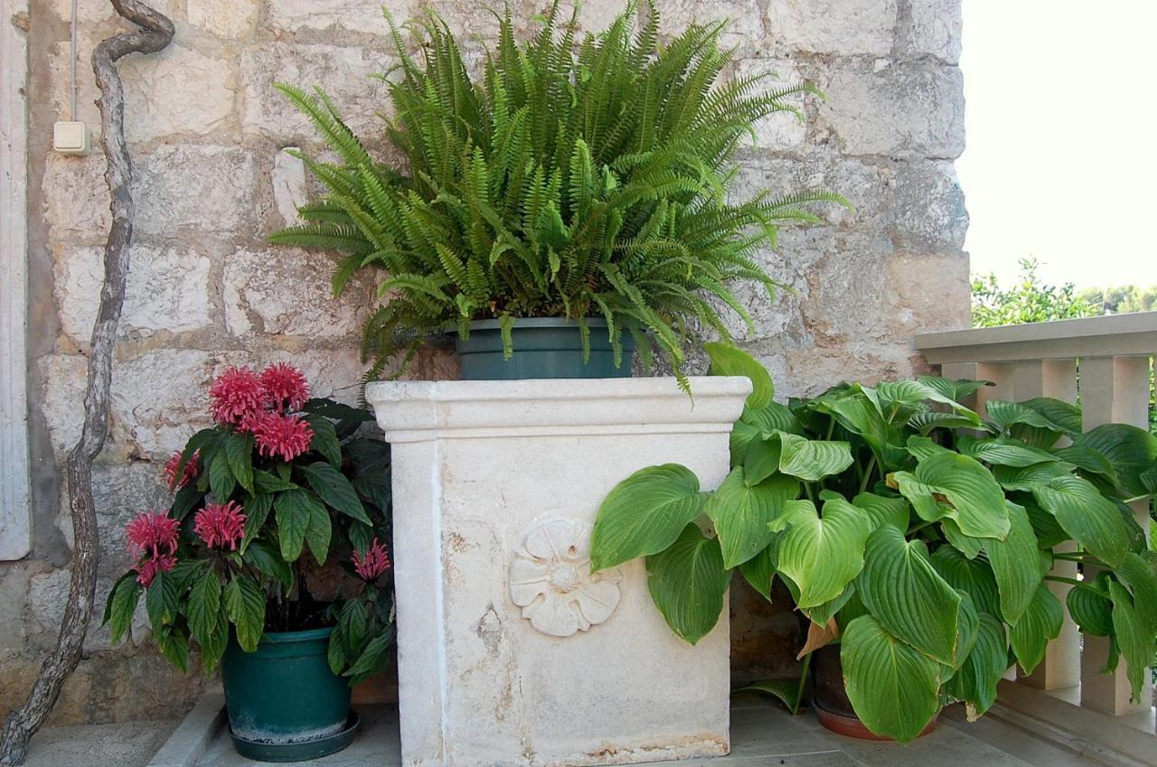 Villa Violic Zaton  Εξωτερικό φωτογραφία