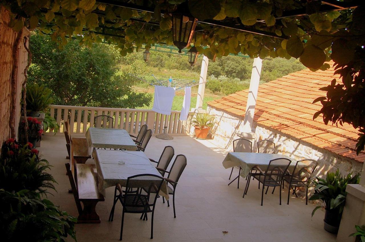 Villa Violic Zaton  Εξωτερικό φωτογραφία